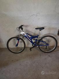 Mountain bike