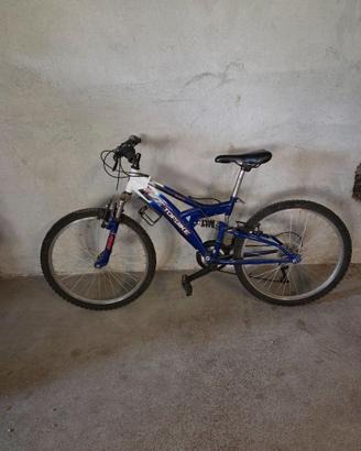 Mountain bike