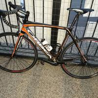 Orbea orca
