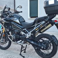 Triumph Tiger Rally pro