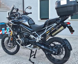 Triumph Tiger Rally pro