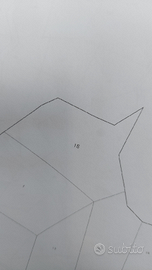 Boschi ceduo a Camugnano