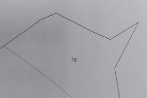 Boschi ceduo a Camugnano