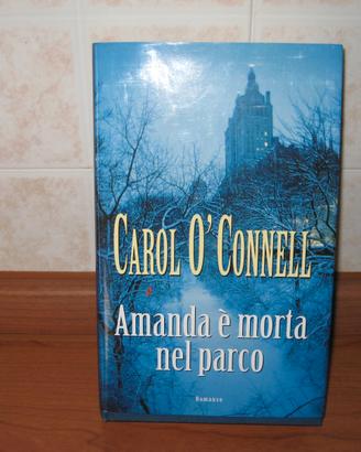 Libro Amanda è morta nel parco