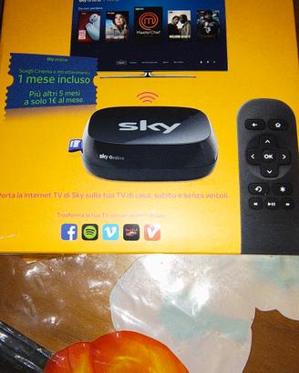 Sky online TV box 