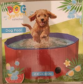 Piscinetta per cane