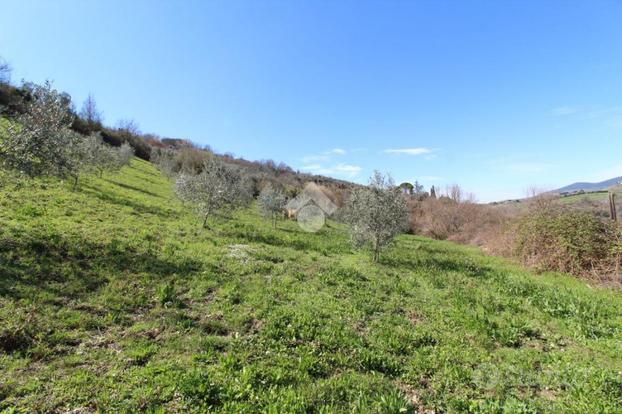 TER. AGRICOLO A POGGIO NATIVO