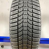 Sava 205/55 R16 91H M+S invernali