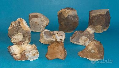 9 pezzi Selce Monti Lessini (VR) 1920 grammi