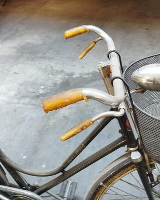 Bicicletta