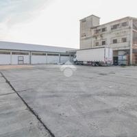 CAPANNONE A VELLEZZO BELLINI