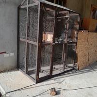 voliera per volatili 