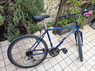MTB uomo da città 