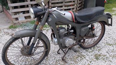 aerocaproni capriolo