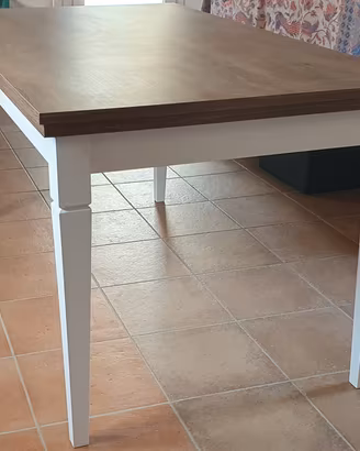 Tavolo da pranzo allungabile