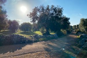 Terreno agricolo edificabile