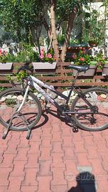 bici da ragazza