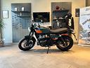 royal-enfield-interceptor-650-bear