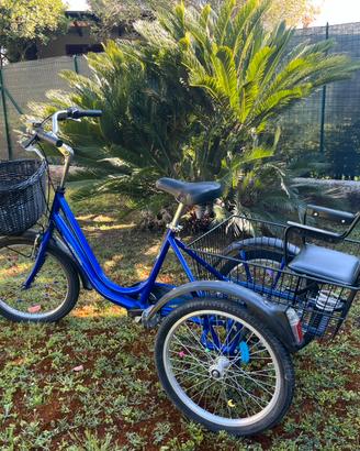 bici 3 ruote