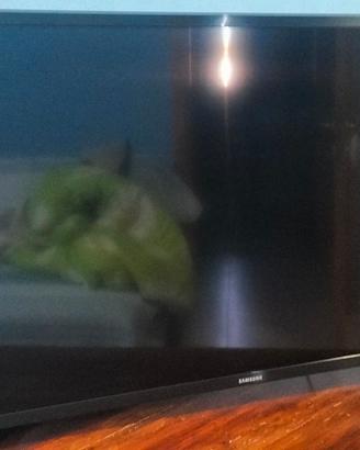 TV Samsung perfettamente funzionante.