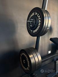 Set dischi bumper training LACERTOSUS