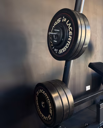 Set dischi bumper training LACERTOSUS