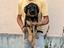Immagine 6