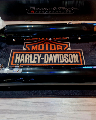 Terminali Harley-Davidson FLHXSE Street Glide 117