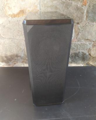 Energy AC300 Cassa acustica singola, doppio altop.