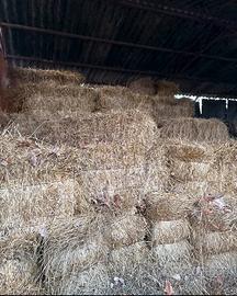 Fieno in presse legate a filo di ferro