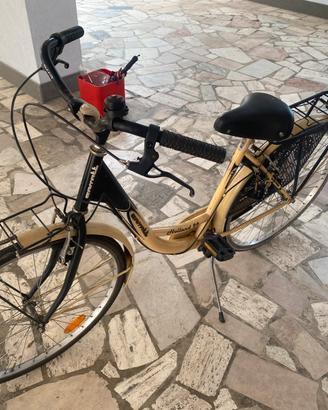 Bici da donna 26