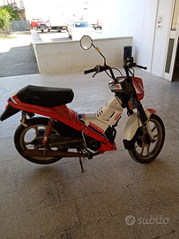 Atala master 4 marce