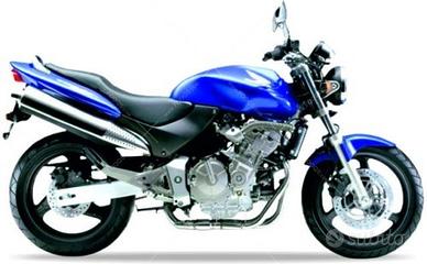 Hornet 600