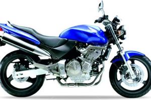 Hornet 600
