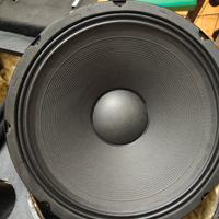 woofer 15 pollici 800 w