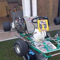 Tony kart con motore Yamaha Bicilindrico