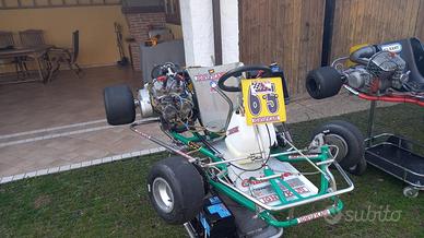 Tony kart con motore Yamaha Bicilindrico