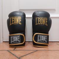 guantoni da boxe 