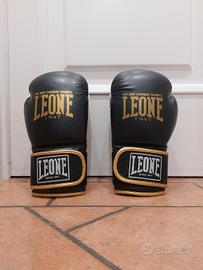 guantoni da boxe 