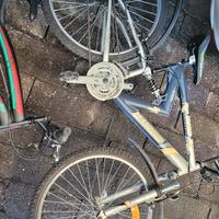 bicicletta masc star 870 sport 