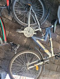 bicicletta masc star 870 sport 