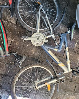 bicicletta masc star 870 sport 