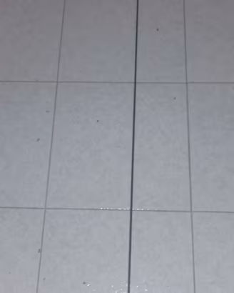 Antenna  veicolare bibanda