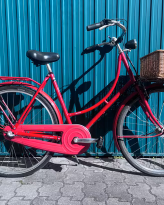 City Trekking bike olandesina col.rosso