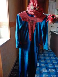 Vestito Carnevale