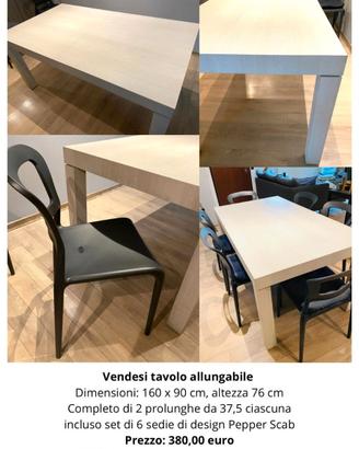 Tavolo allungabile e 6 sedie