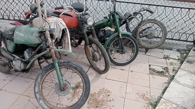 Ciclomotori Guzzi Dingo 49 cc