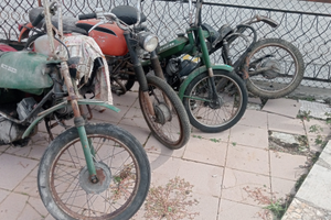 Ciclomotori Guzzi Dingo 49 cc