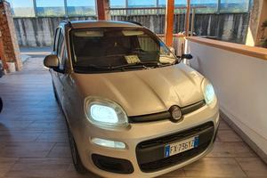 panda 1,3 multijet 75 cv 