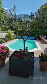 Piscine in vetroresina rinforzata autoportante ITA